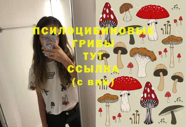 молекула духа Алзамай