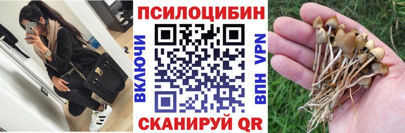 Псилоцибиновые грибы Psilocybine cubensis  как найти наркотики  Поронайск 
